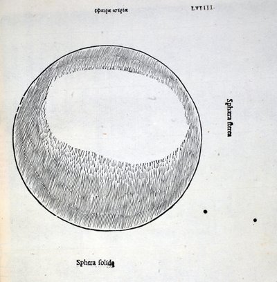 Sphera solida, illustration from 